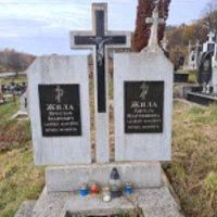 Ангела Жила