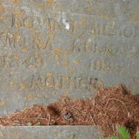 Dymika Kulbaba