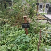 Пилип Пальчиков