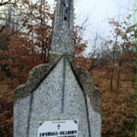 Домініка Фединич