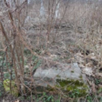 OSTROWSKI KAZIMIERZ