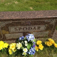 Stella Spodar