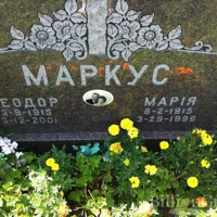 Теодор Маркус