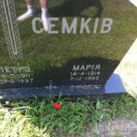 Петро Семків