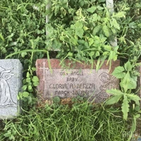 Gloria Bereza