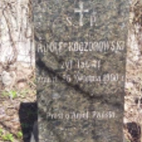 Adolf Koczorowski