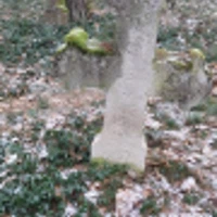 Teodor Iwaniuk