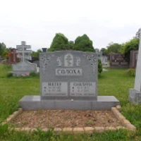 Павлина Солоха