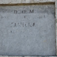 Walerya Janicka