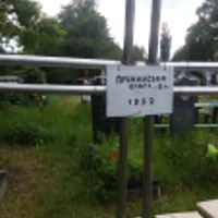 Ольга Пружинская
