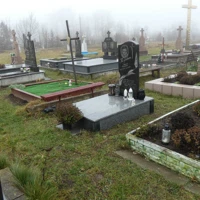 Таня Газдевич