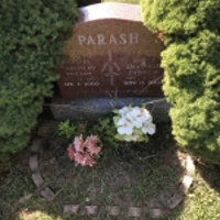 Nellie Parash