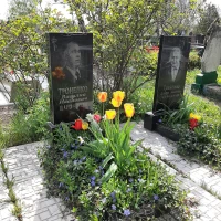 Василь Троненко