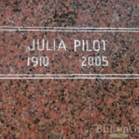 Julia Pilot