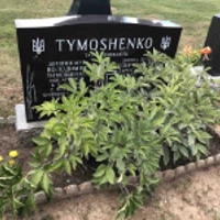Lydia Tymoshenko