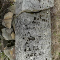 Rozalia Horodyska