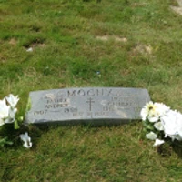 Andrew Mocny
