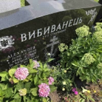 Alexander Вибиванець