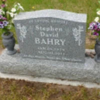 Stephen Bahry