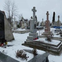 Матрона Птиць