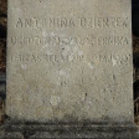 DZIERZEK ANTONINA