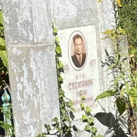 Іван Стефаник
