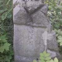 Aniela Szelewicka
