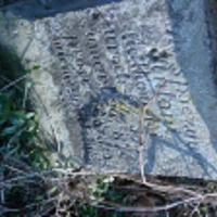 Antoni Fialkowski