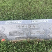 Maria Svida