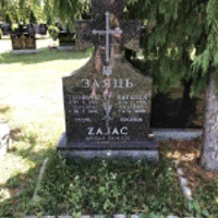 Teofil Zajac