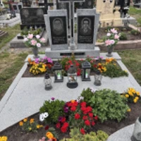 Степанія Низьолик