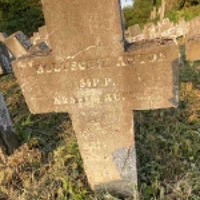 Anton Boltschik?