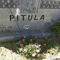 MIROSLAW PITULA