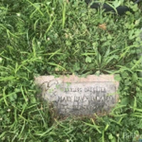 Mary DiCarlo