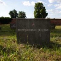 Д. Венгринский