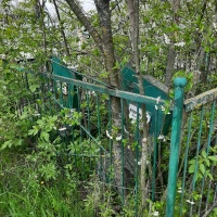 Петро Купровський