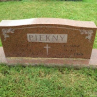 Nikola Piekny