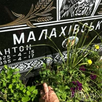 Антон Малахівський