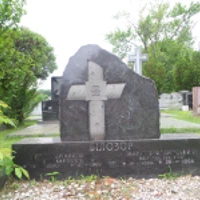 Володимир Білозор