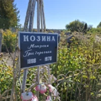 Матрона Козина
