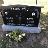 Sava Radinovic