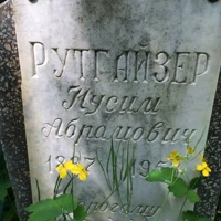 Нусим Рутгайзер