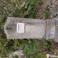 Анастасия Межинская