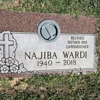Najiba Wardi