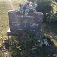 Славко Раденковић