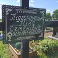 Ніна Підгородецька