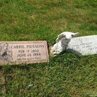 Carrie Pidsadny