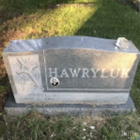 Daniel Hawryluk
