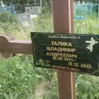 Владимир Галика