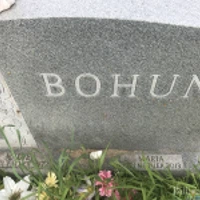 Walter Bohun